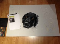 /album/galerie-photos/photo-1112-jpg/